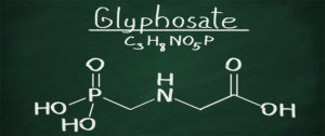 Roundup and Cancer